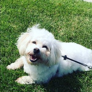 Meet your Posher, Deesha